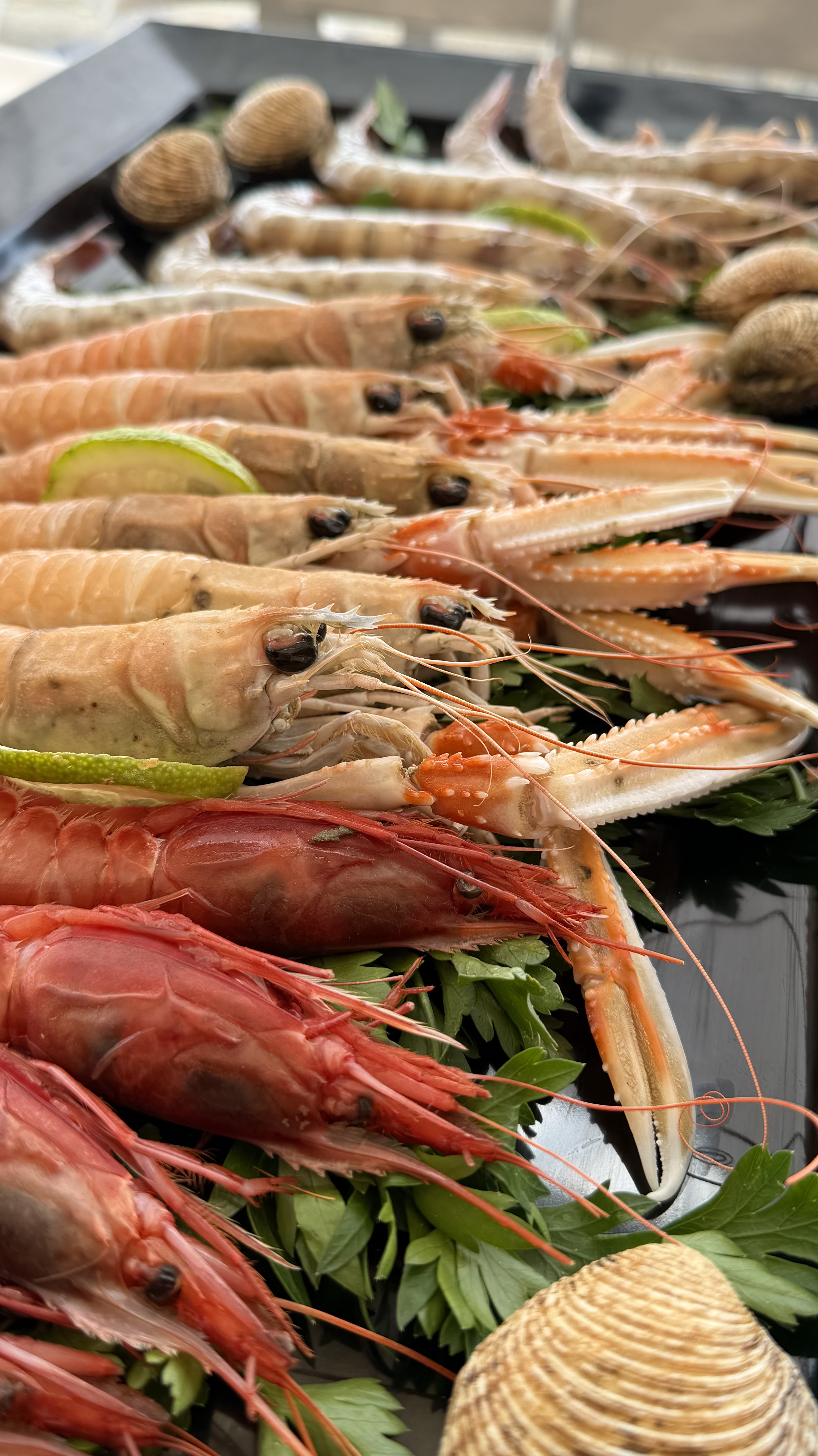 Proposta gastronomica Zenzero ad Anzio