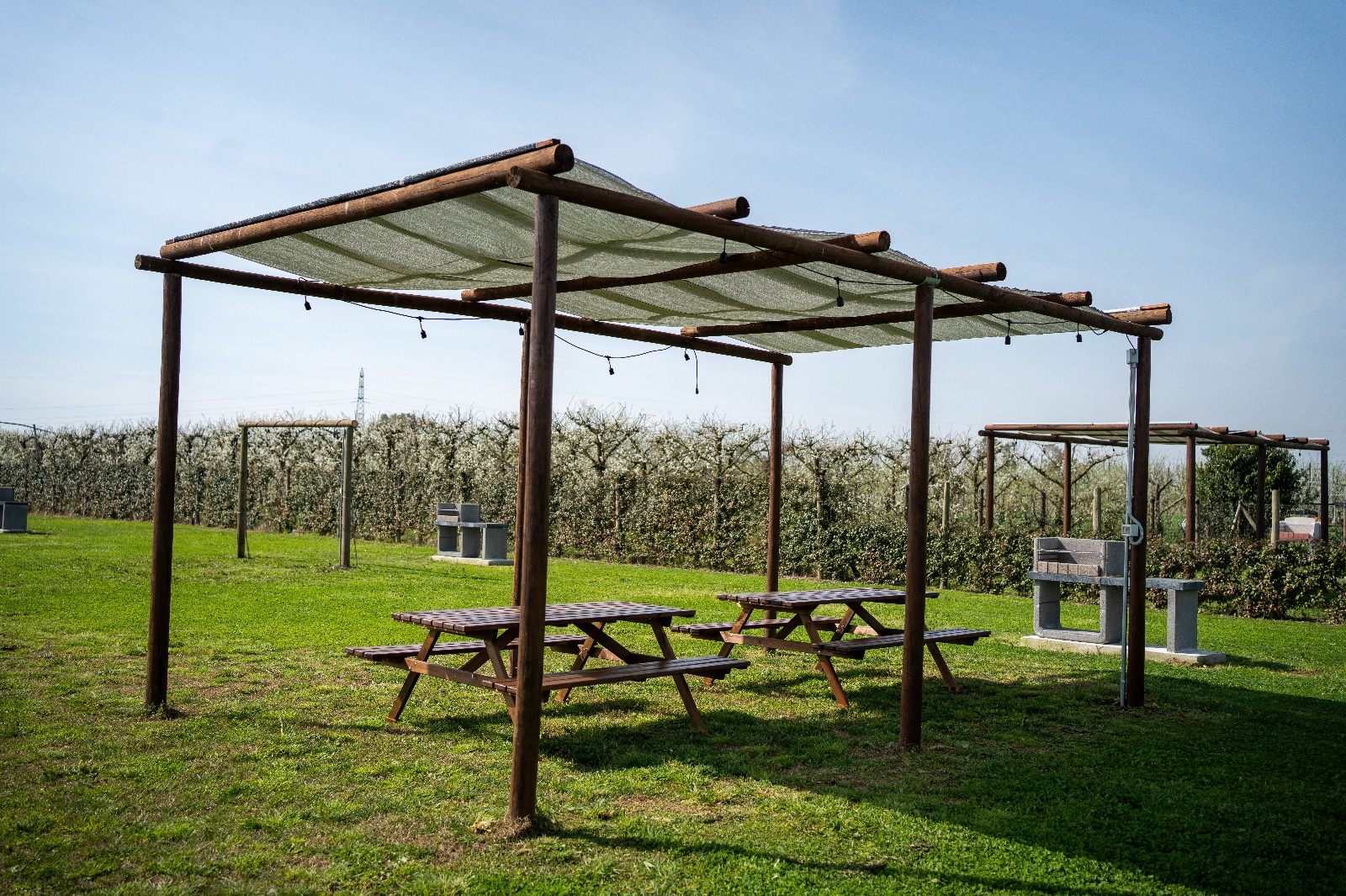 Il Noccioleto — area picnic con pergolato in legno
