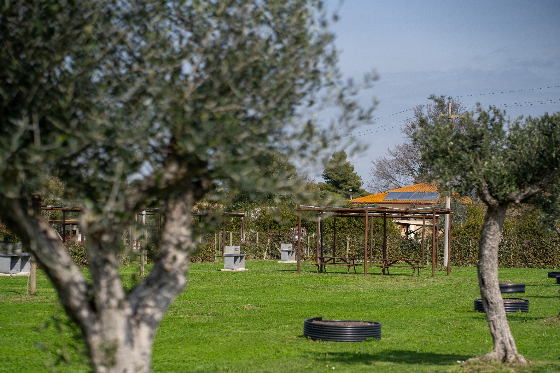 Il Noccioleto — esperienza picnic per famiglie